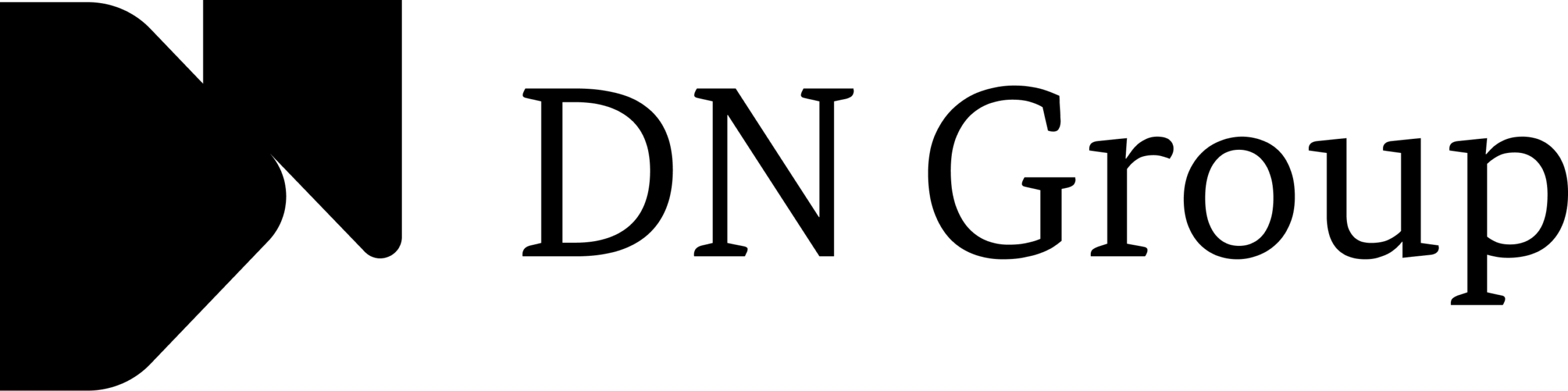 Referenz: Logo der DN Group AG